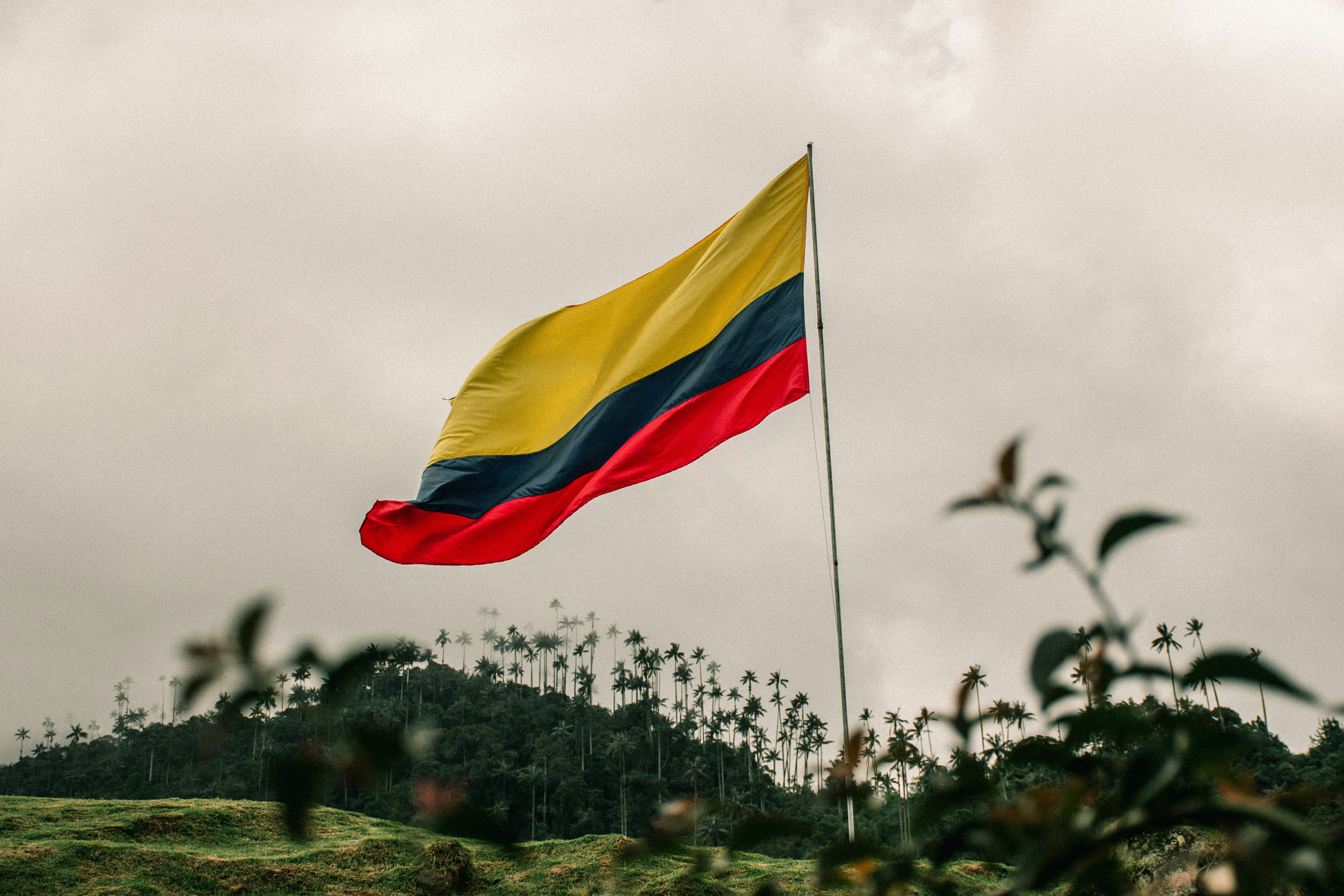 Colombia: El Sendero y la Esencia de la Ruta Cafetera